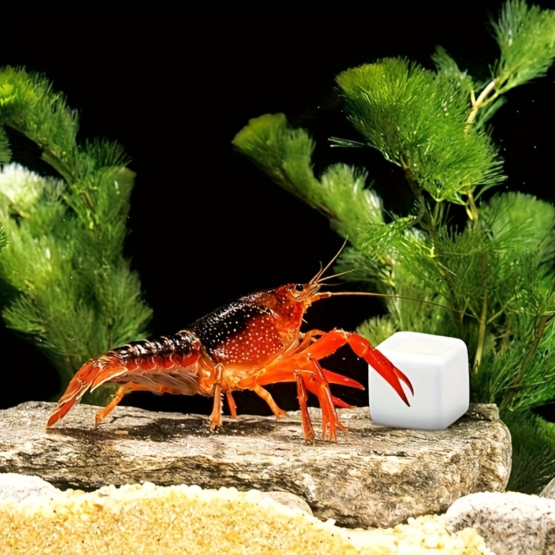 Calcium Powder Reptile - 6 szt. Kamieni do szlifowania dla
