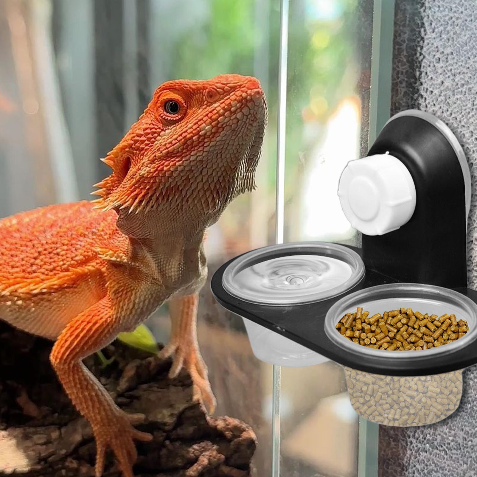 Water Dish Reptile - Miska na karmę dla gekonów, pojemnik