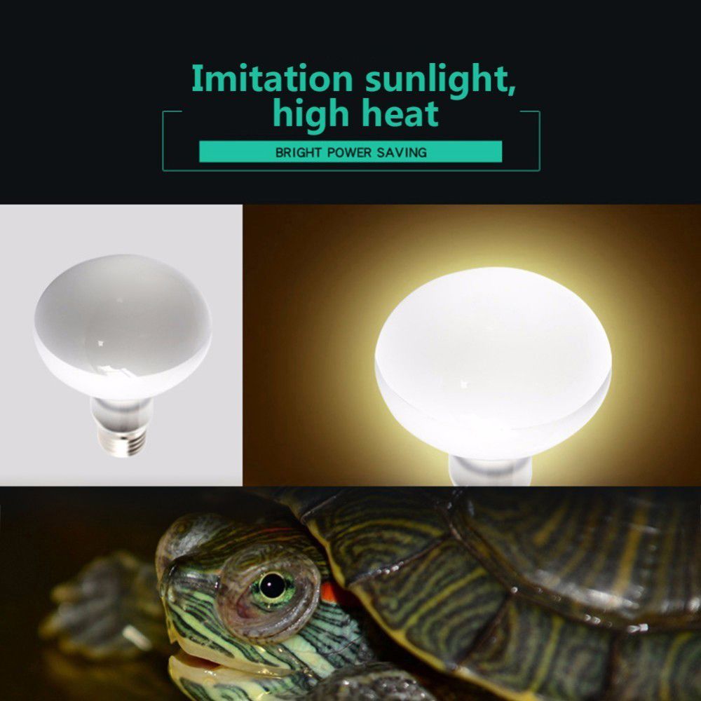 Basking Bulb Halogen - Regulator temperatury dla żółwi, lampa UVA