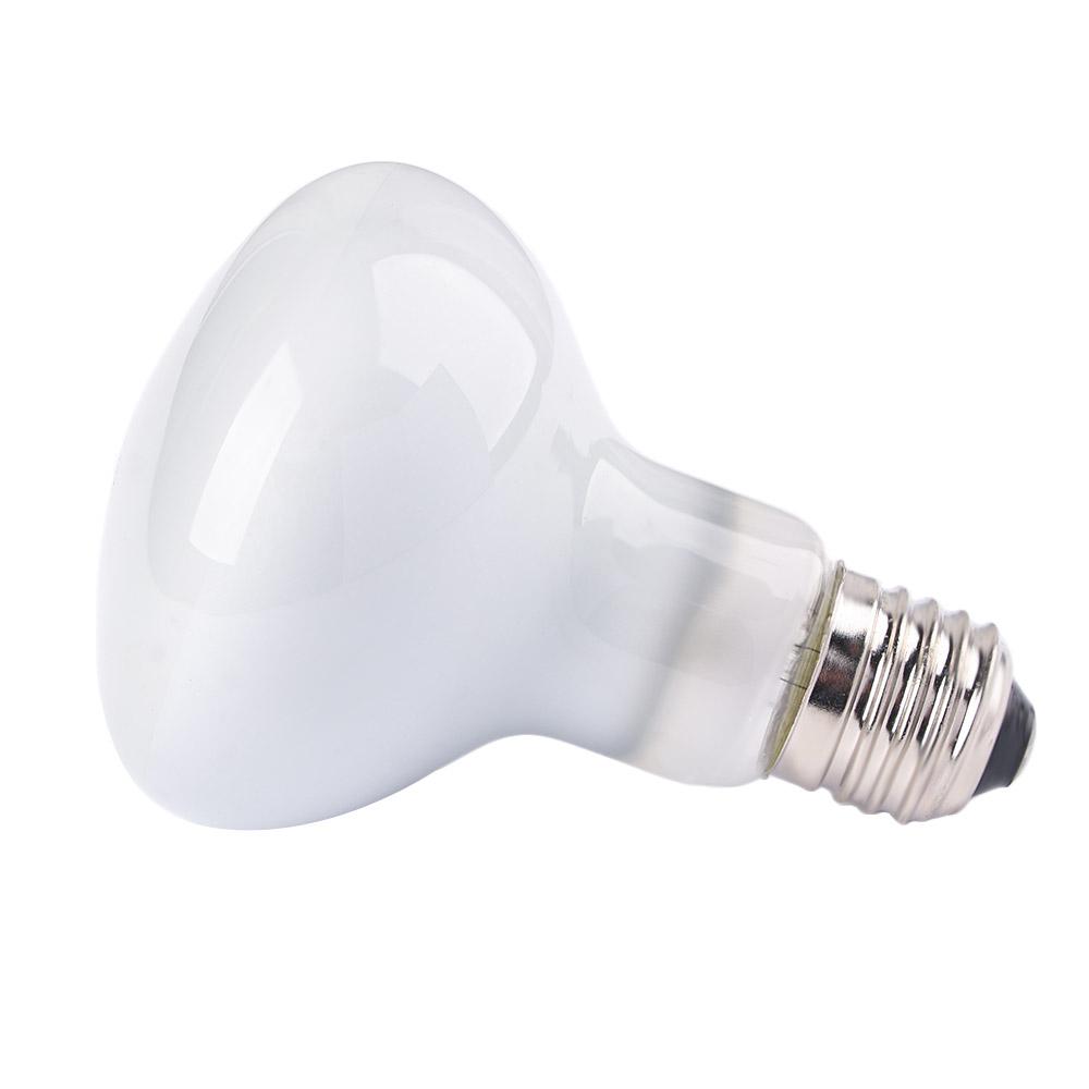Żarówka halogenowa dla jaszczu – Basking Bulb Halogen recenzja i cena