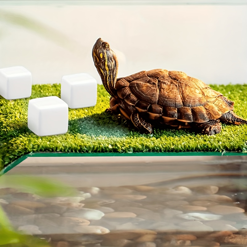 6 szt. Kamieni do szlifowania  – Calcium Powder Reptile recenzja i cena