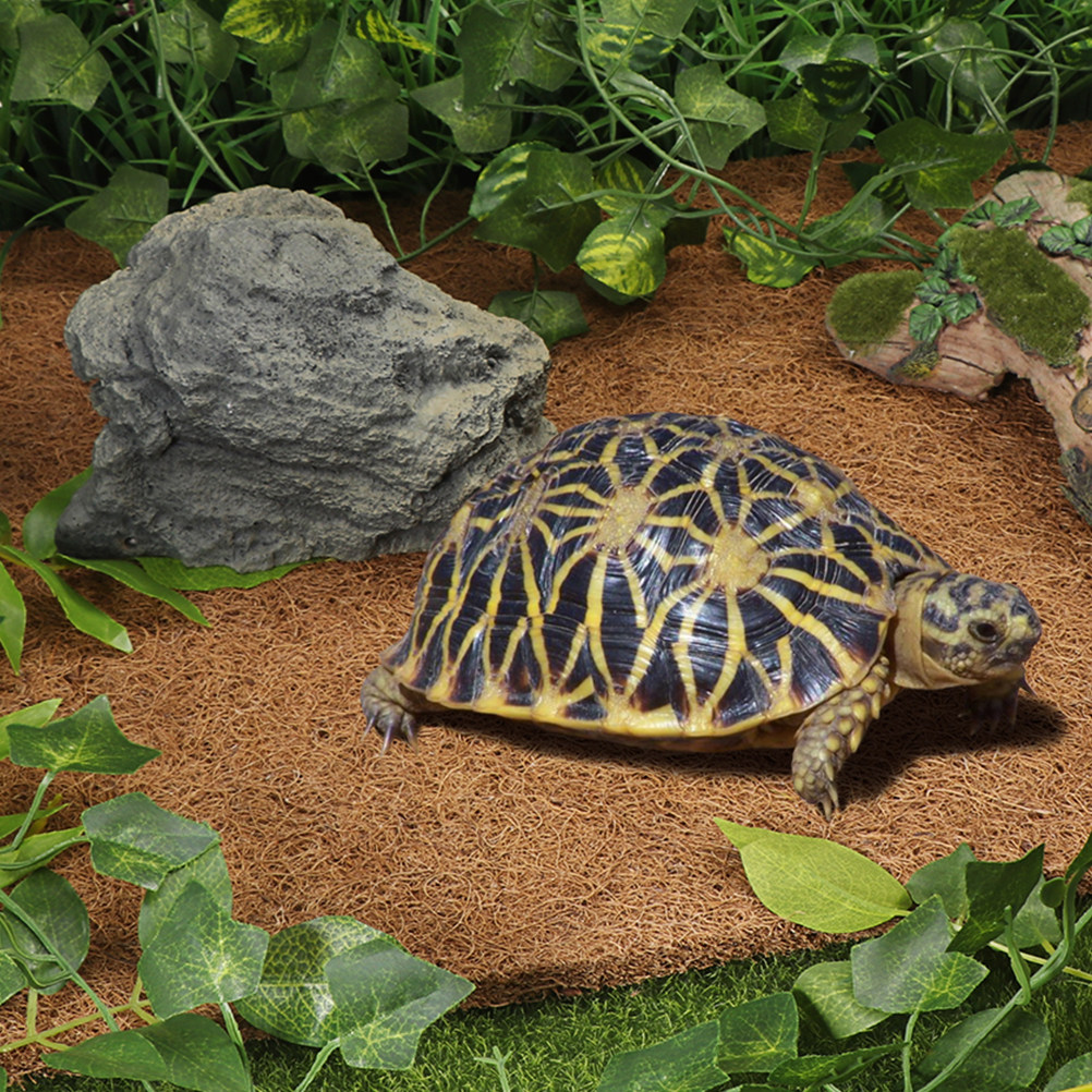Podłoże kokosowe do terrarium  – Substrate Coconut Fiber recenzja i cena