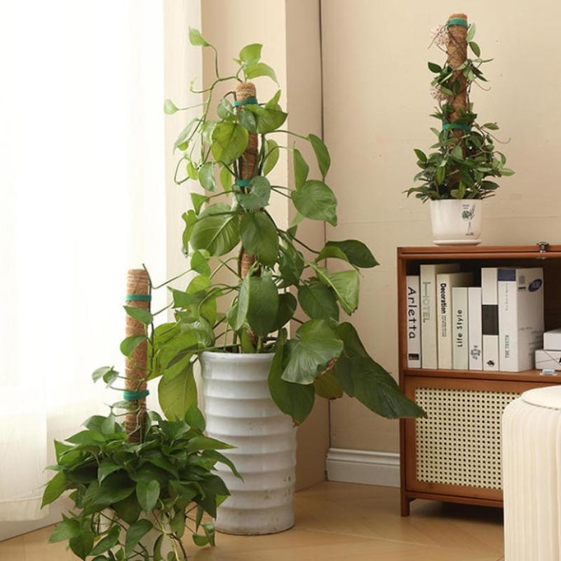 1 szt. Pręt do podtrzymywania  – Vine Climbing Plastic recenzja i cena