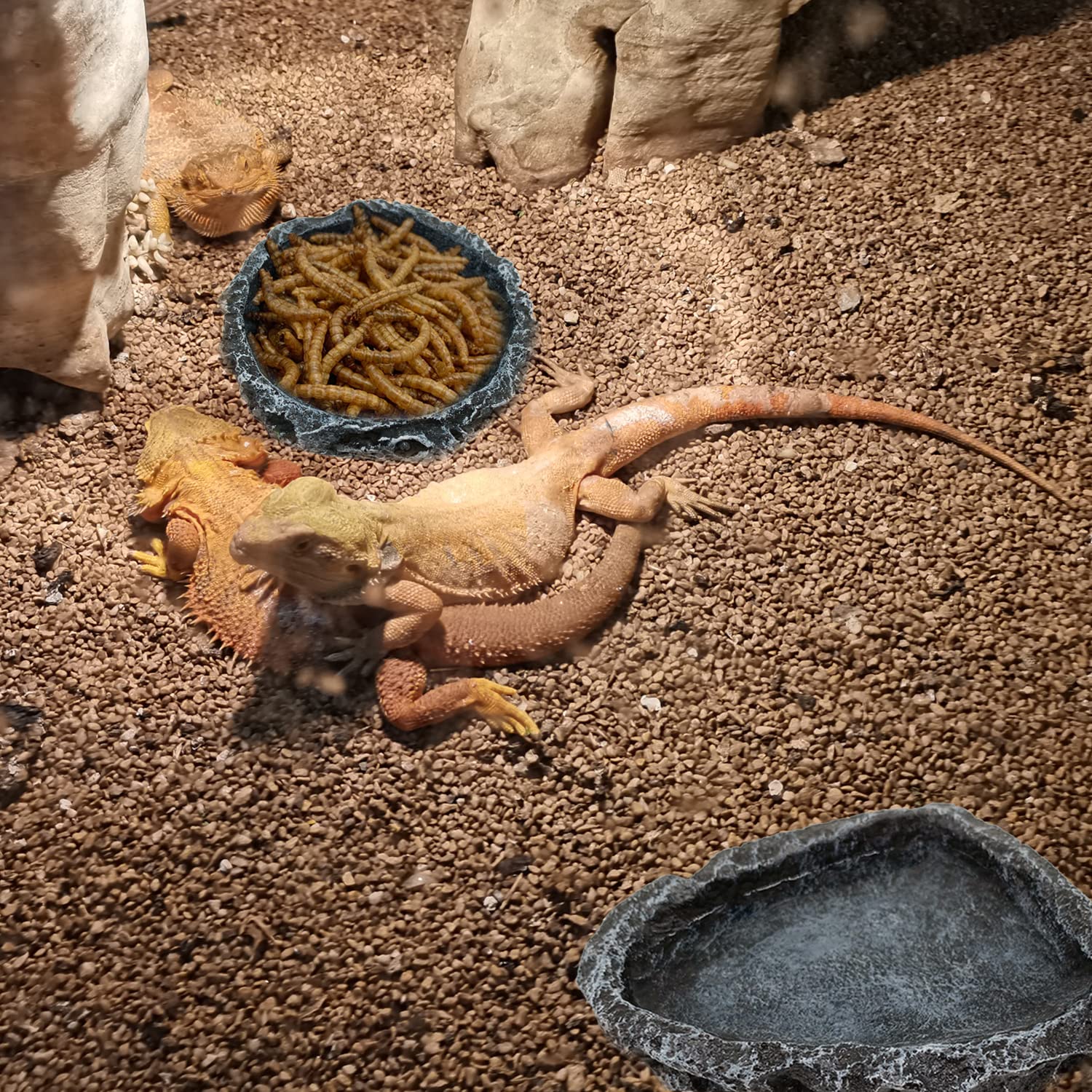 1/2 Zestaw Narożnych Miski na  – Water Dish Reptile recenzja i cena