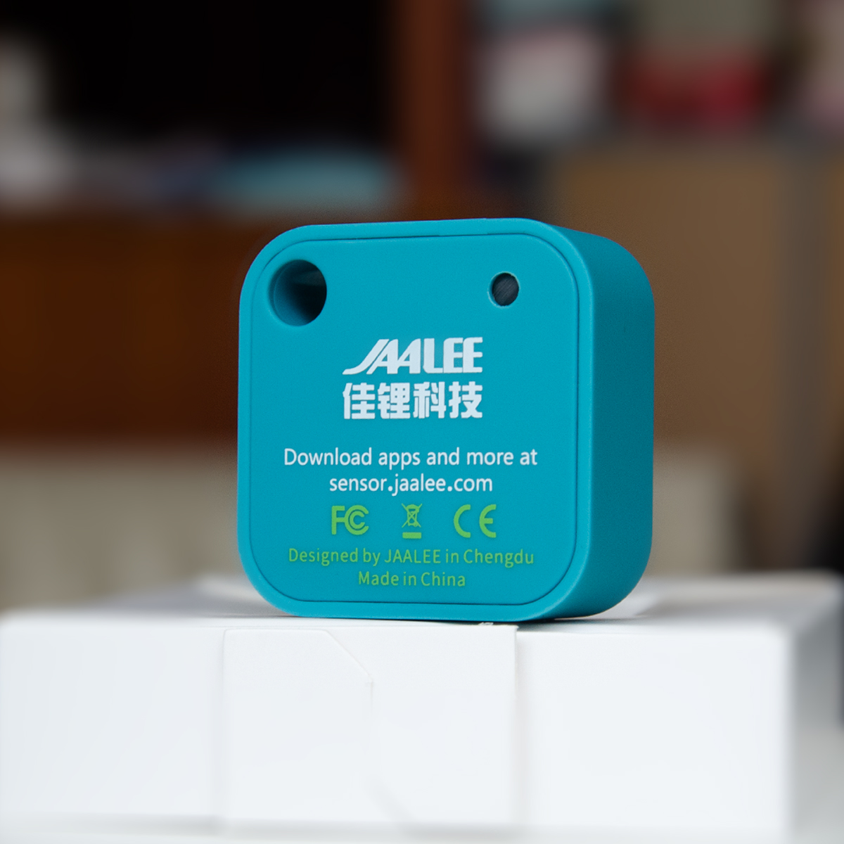 Jaalee JHT temperatura/wilgotn – Digital Hygrometer Probe recenzja i cena