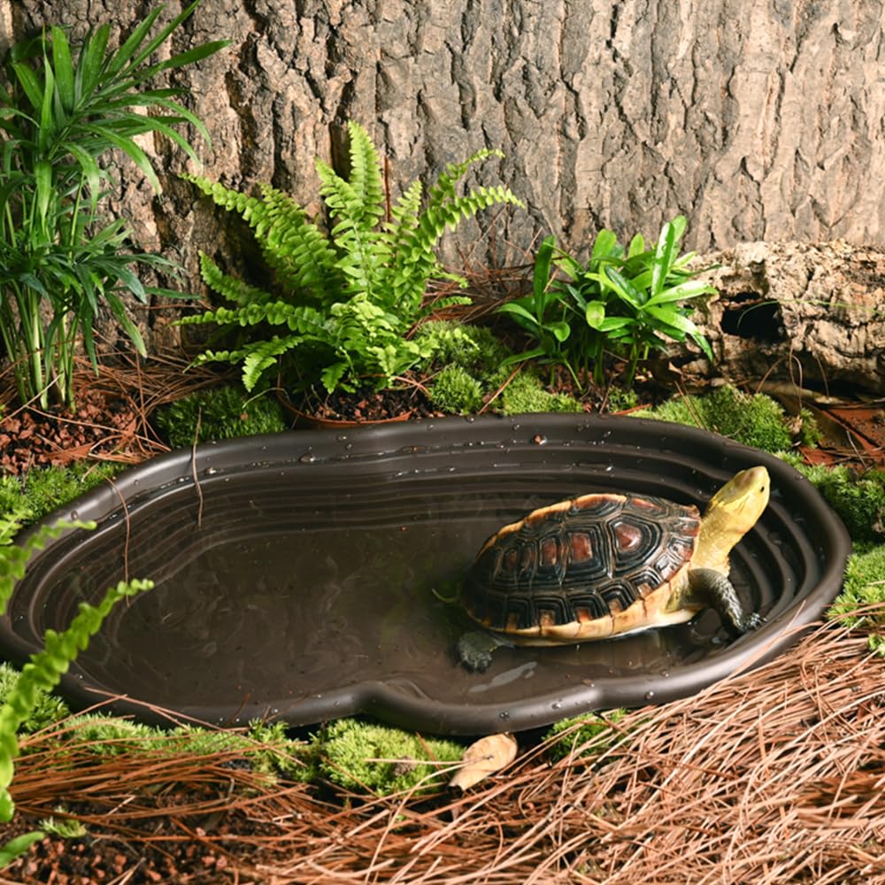 Miska do kąpieli dla gadów, te – Water Dish Reptile recenzja i cena