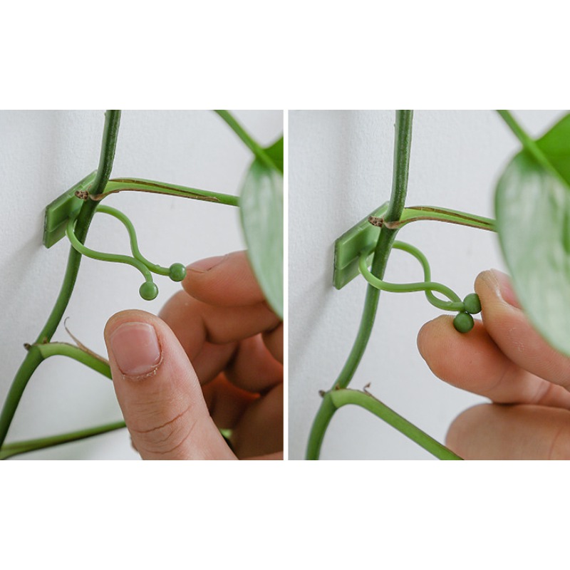 10 szt. Haczyki do mocowania r – Vine Climbing Plastic recenzja i cena