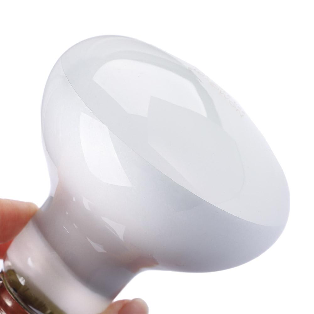 Regulator temperatury dla żółw – Basking Bulb Halogen recenzja i cena