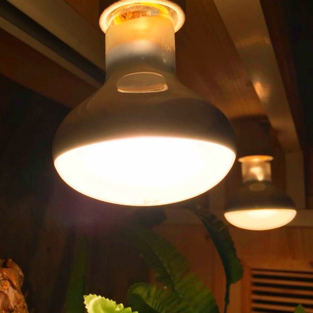 Regulator temperatury dla żółw – Basking Bulb Halogen recenzja i cena