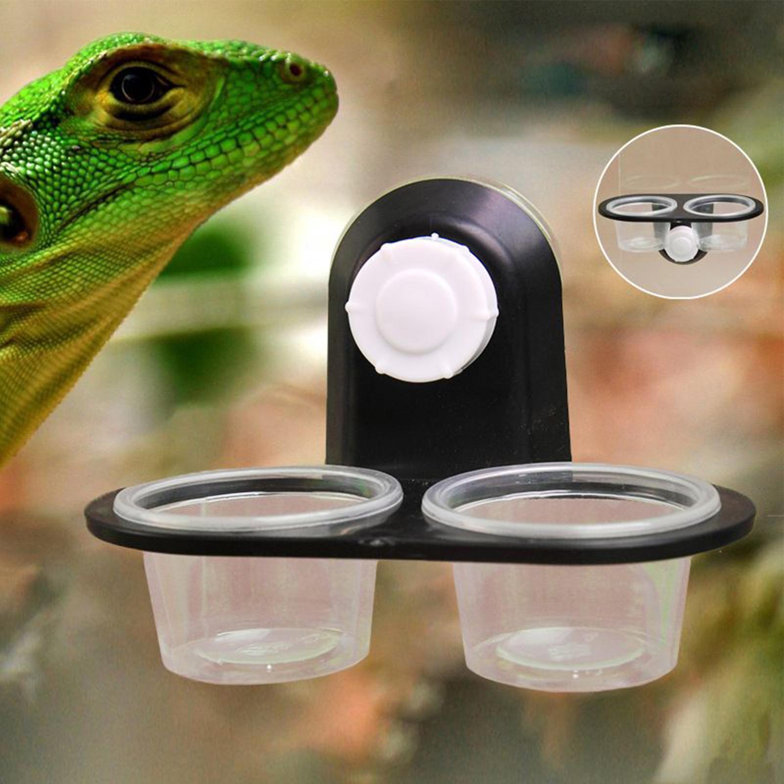 Miska na karmę dla gekonów, po – Water Dish Reptile recenzja i cena