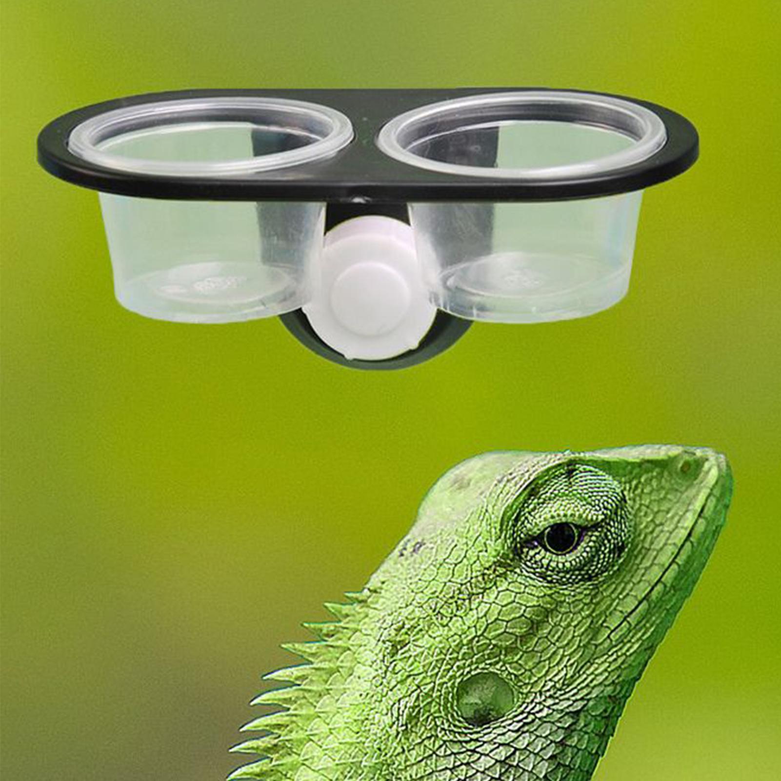 Miska na karmę dla gekonów, po – Water Dish Reptile recenzja i cena