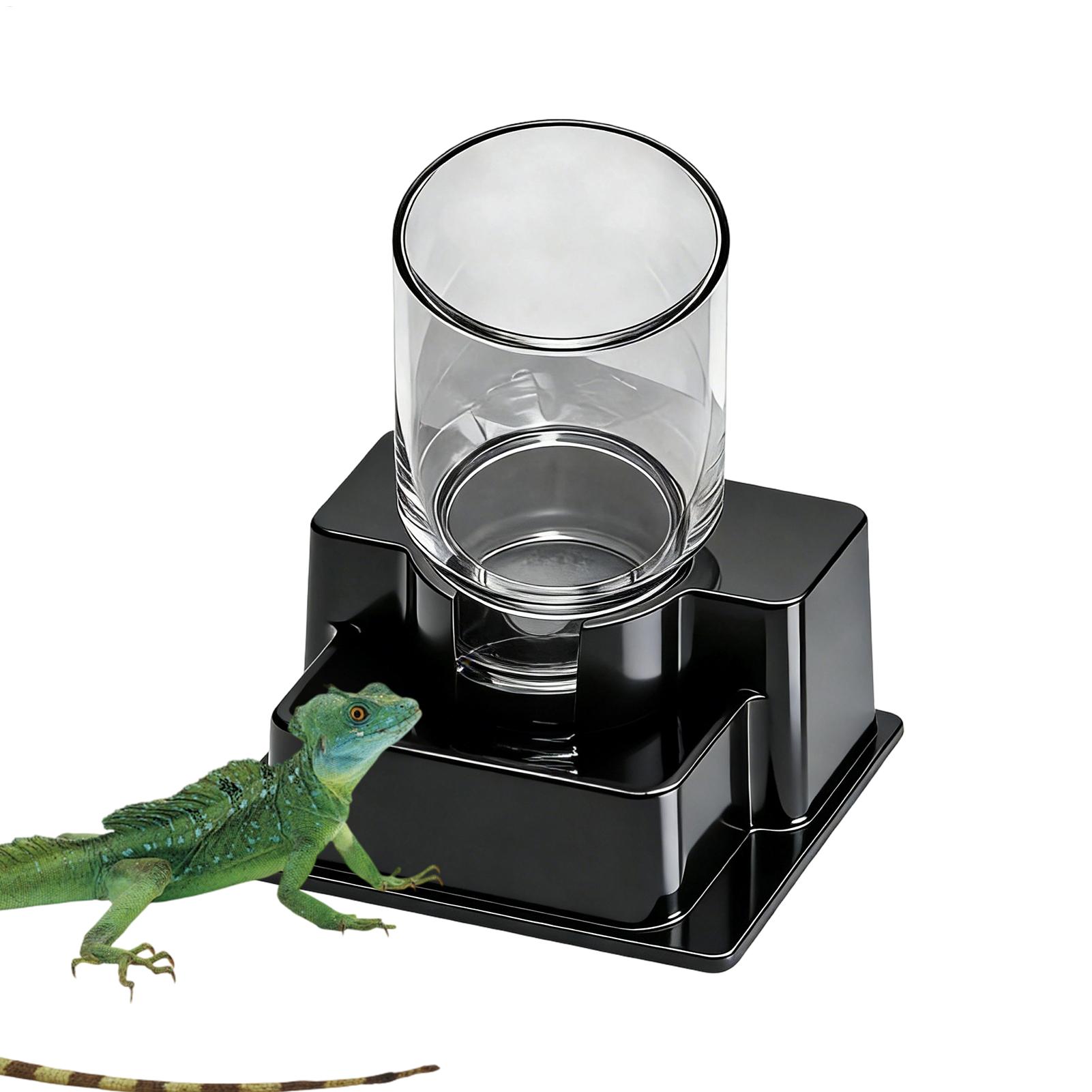 Fontanna dla agamy brodatą, au – Water Dish Reptile recenzja i cena
