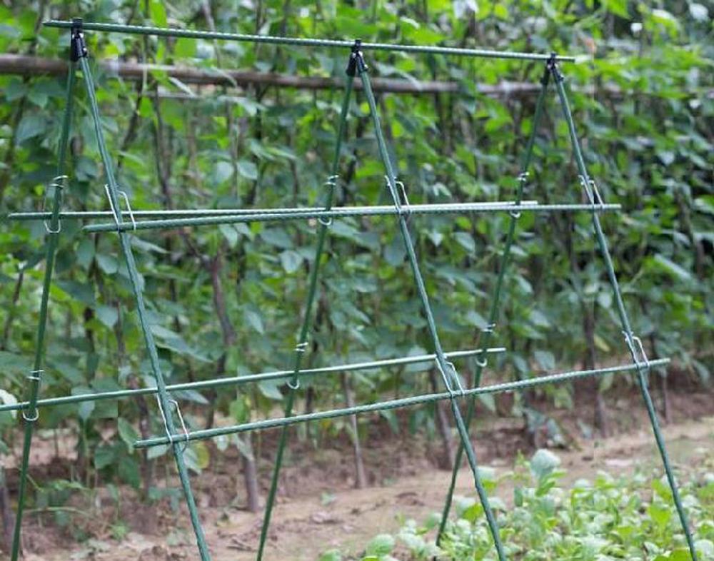 Średnica 8/11/16mm wsparcie ro – Vine Climbing Plastic recenzja i cena