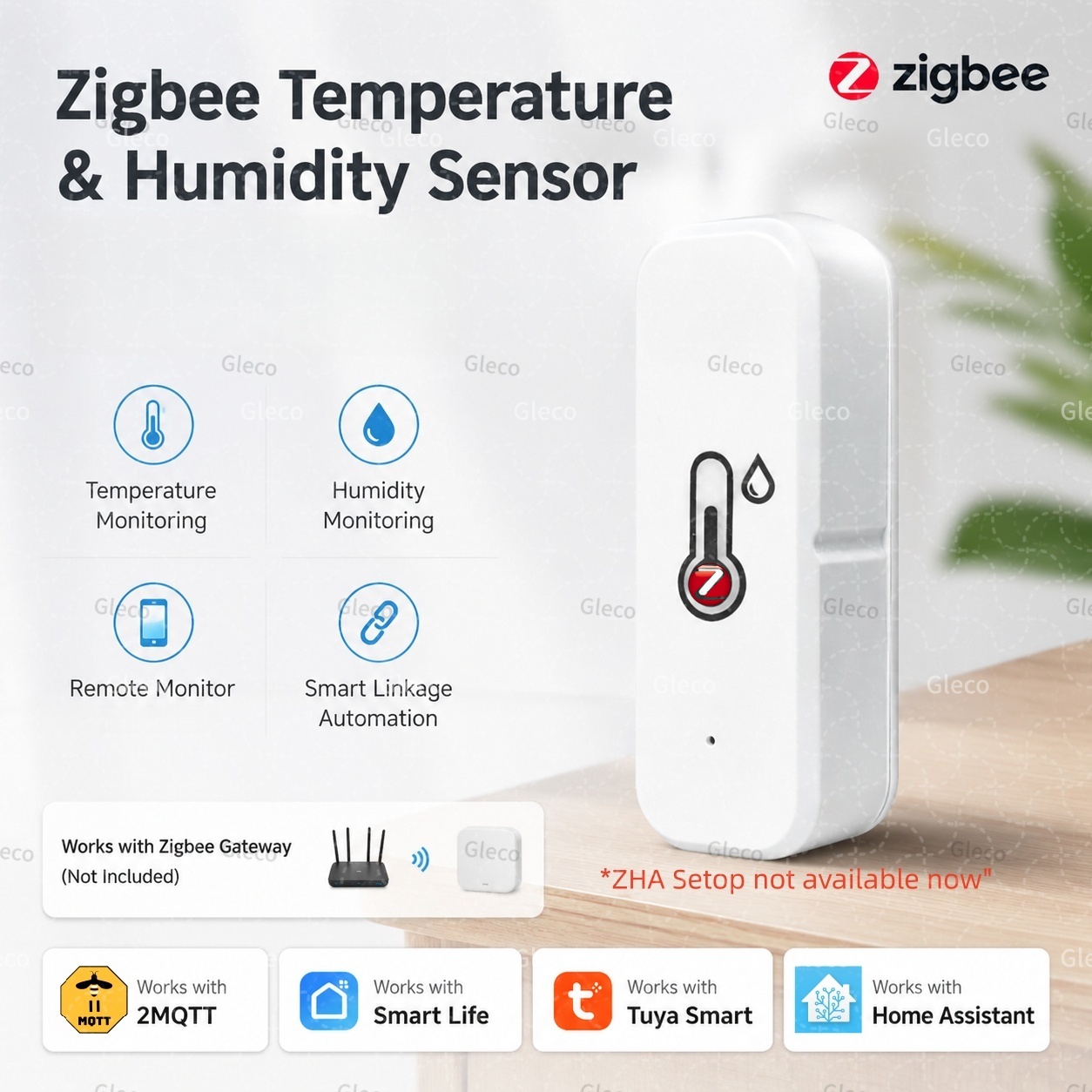 Czujnik temperatury i wilgotno – Digital Hygrometer Probe recenzja i cena