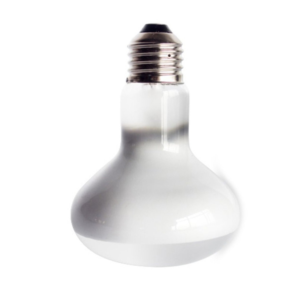 Regulator temperatury dla żółw – Basking Bulb Halogen recenzja i cena