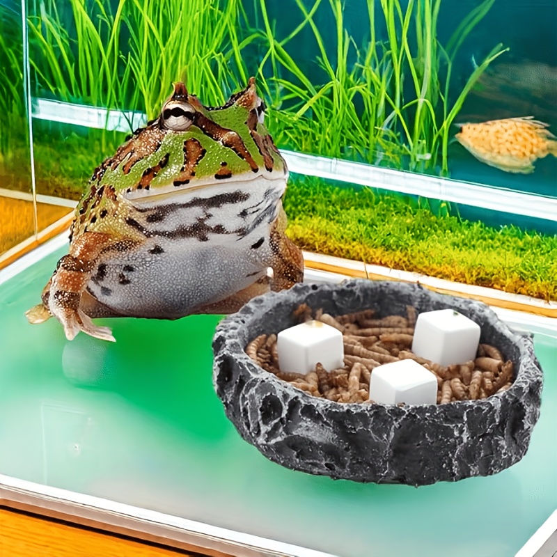 6 szt. Bloków wapnia do akwari – Calcium Powder Reptile recenzja i cena