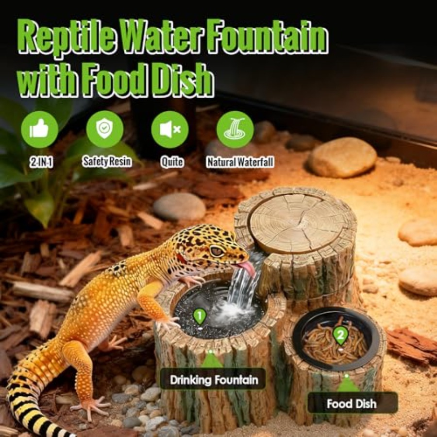 Fontanna dla gadów 2 w 1 z mis – Water Dish Reptile recenzja i cena