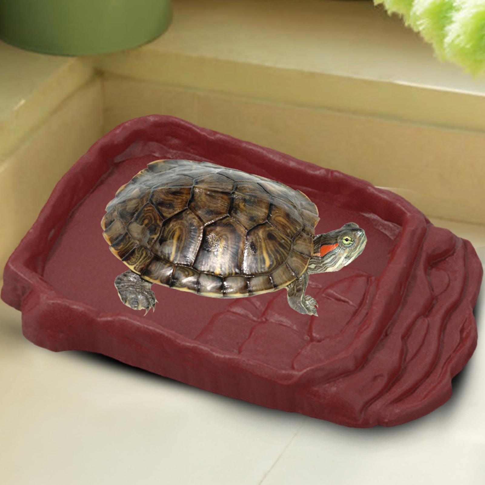 Wanna dla żółwia, miska na wod – Water Dish Reptile recenzja i cena