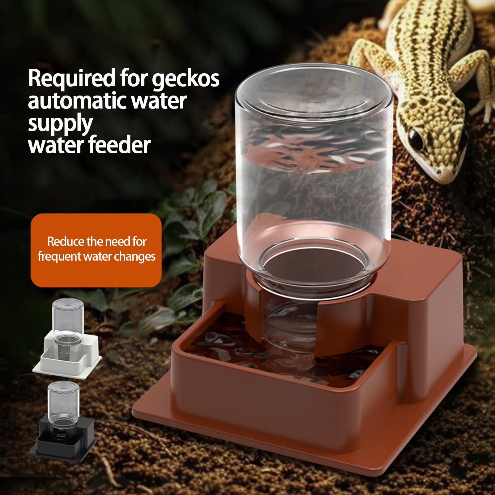 Automatyczny podajnik dla gadó – Water Dish Reptile recenzja i cena