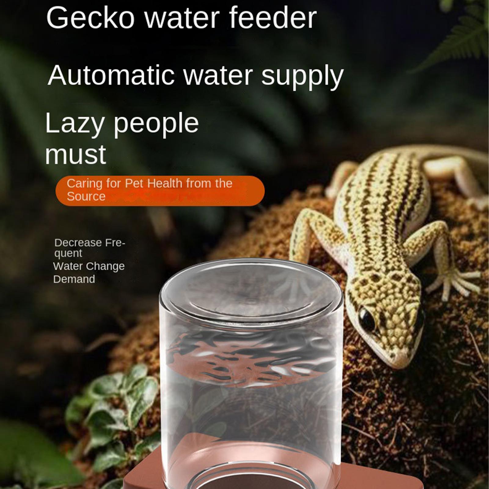 Automatyczny podajnik dla gadó – Water Dish Reptile recenzja i cena