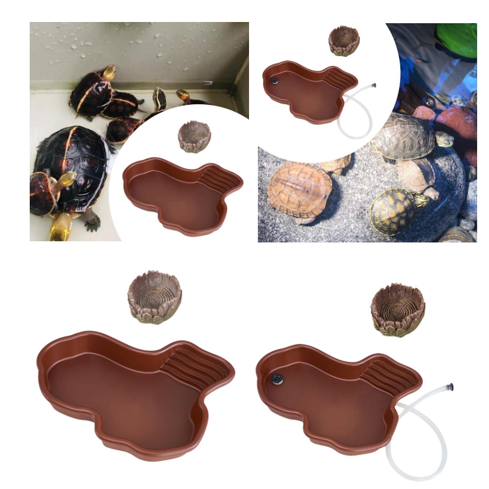Naczynie do karmienia gadów Ba – Water Dish Reptile recenzja i cena